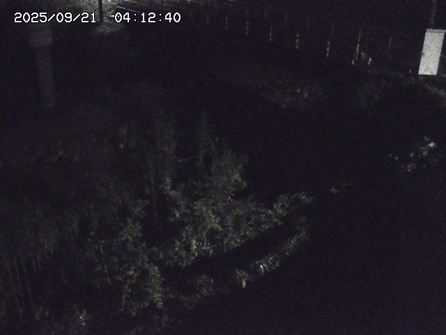 取得できませんでした