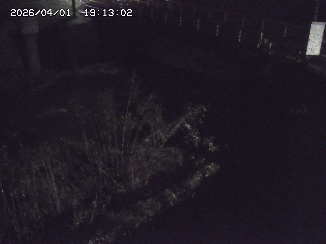 取得できませんでした