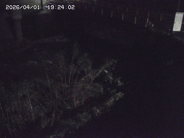 取得できませんでした