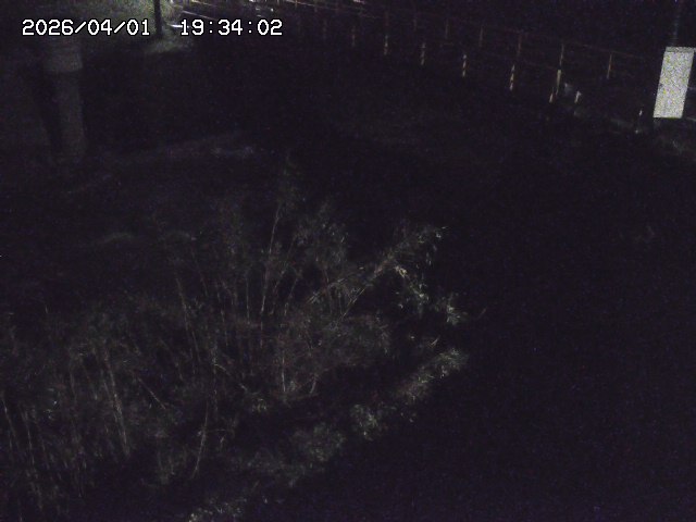 取得できませんでした