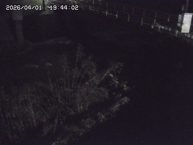 取得できませんでした