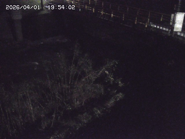 取得できませんでした