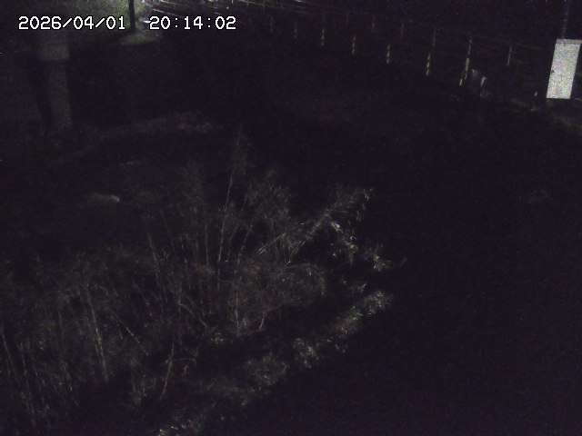 取得できませんでした