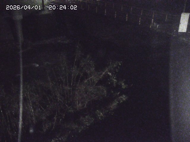 取得できませんでした