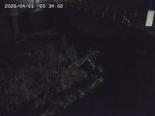 取得できませんでした