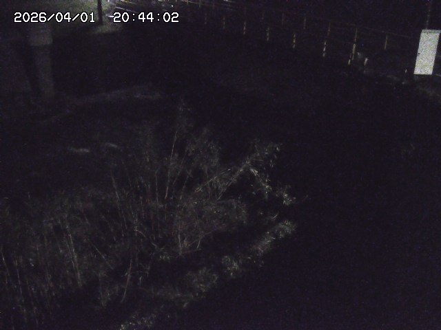 取得できませんでした