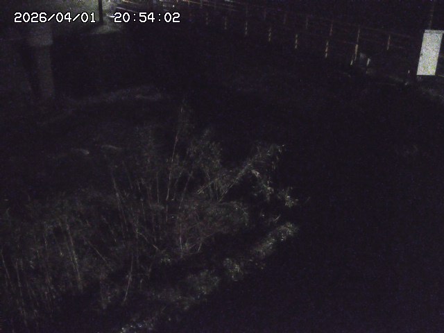 取得できませんでした