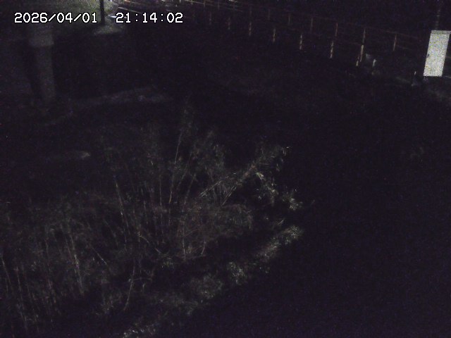 取得できませんでした