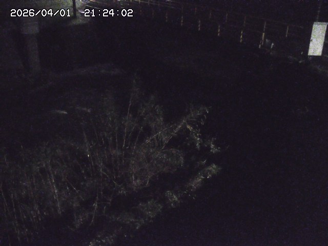 取得できませんでした