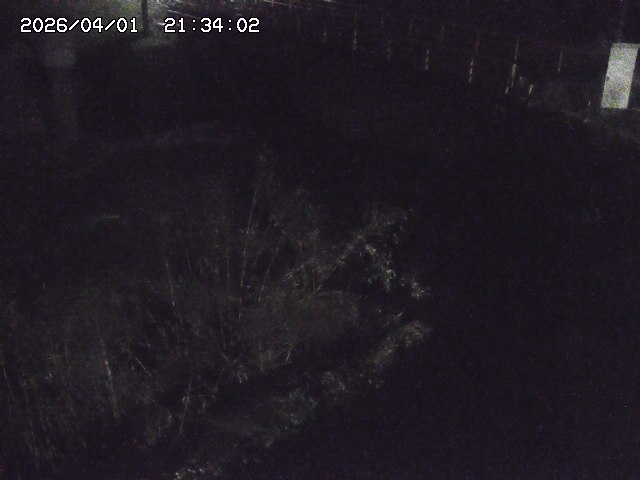 取得できませんでした