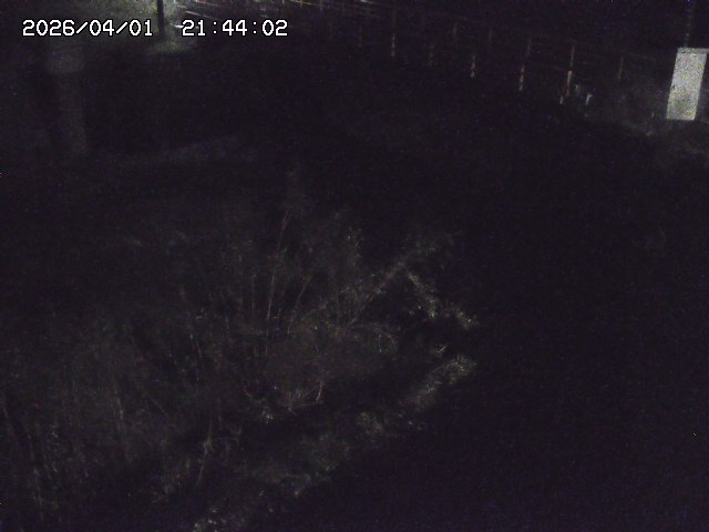 取得できませんでした