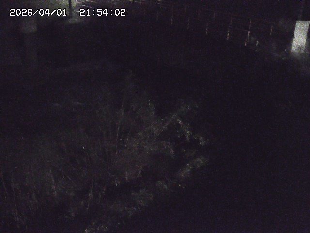 取得できませんでした