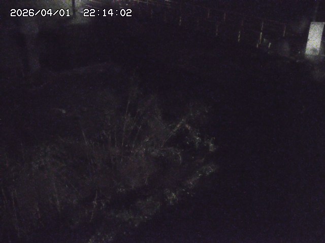 取得できませんでした