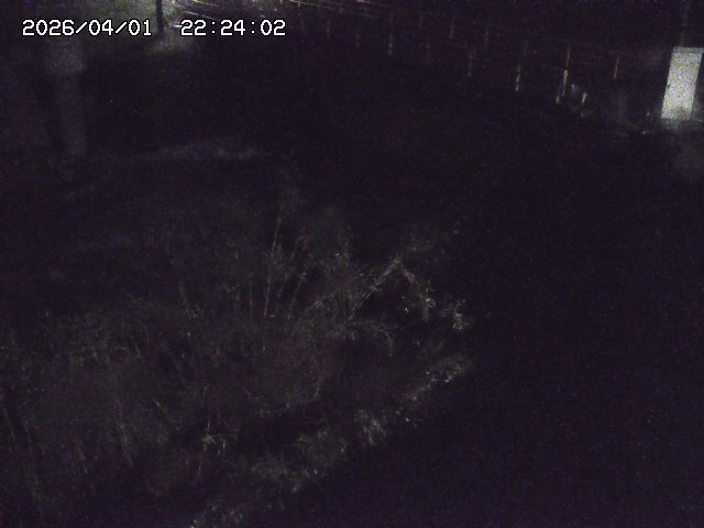 取得できませんでした