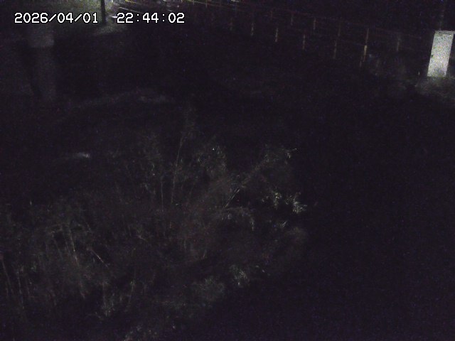 取得できませんでした