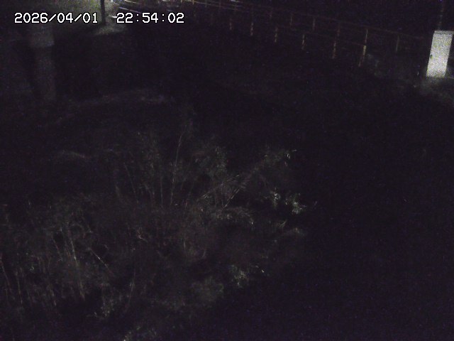 取得できませんでした