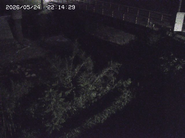 取得できませんでした