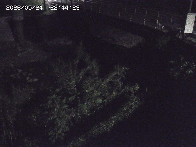 取得できませんでした