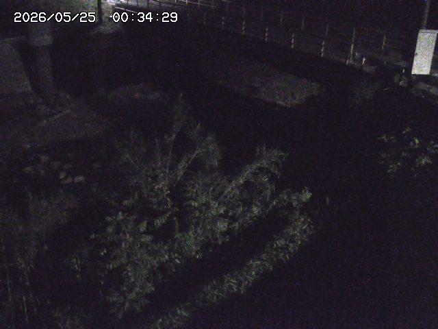 取得できませんでした