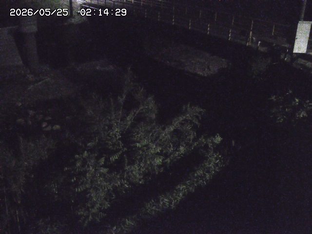 取得できませんでした