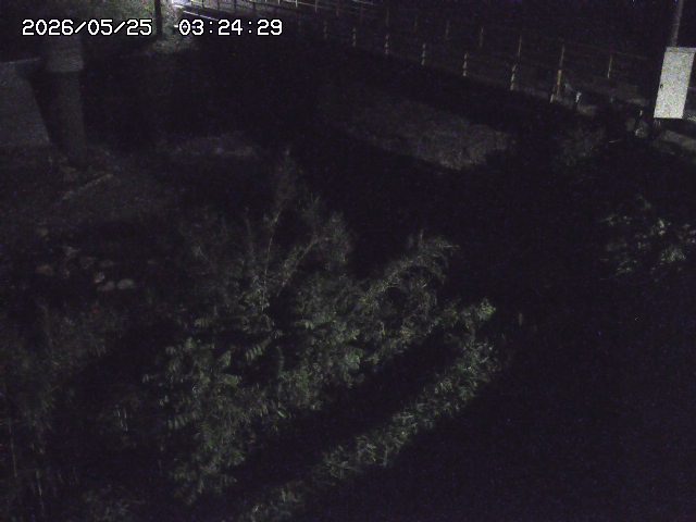 取得できませんでした