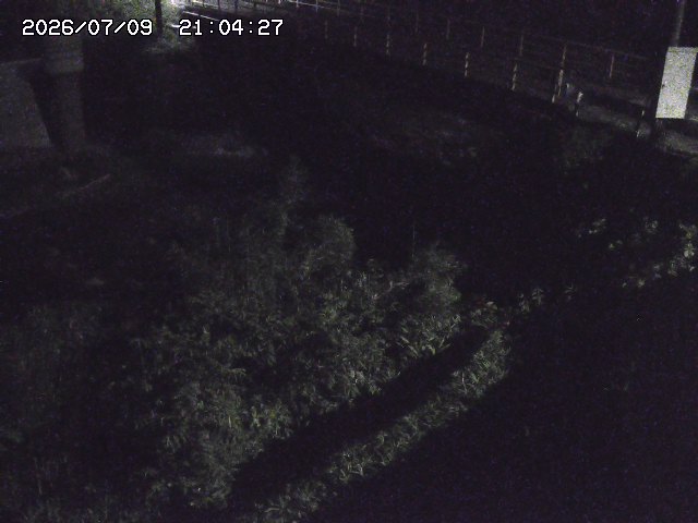 取得できませんでした