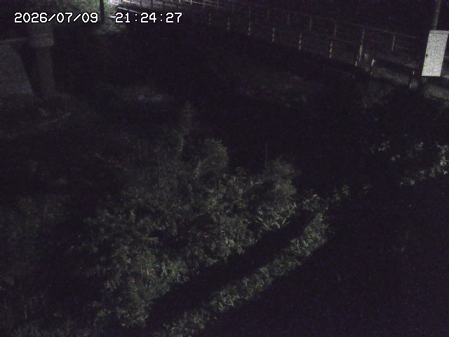 取得できませんでした