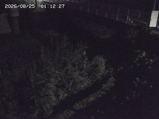 取得できませんでした