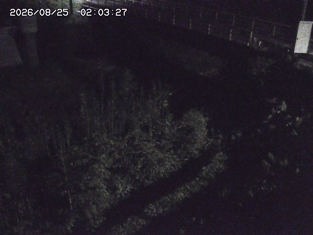取得できませんでした