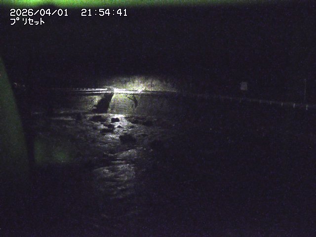 取得できませんでした