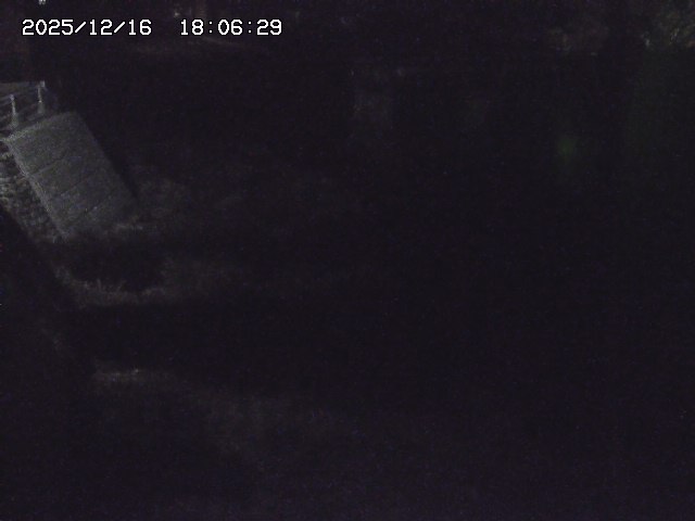 取得できませんでした