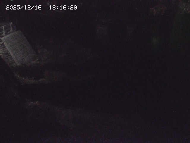 取得できませんでした