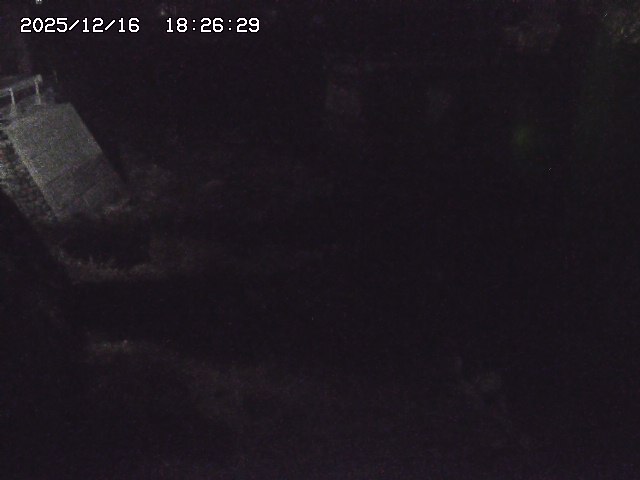 取得できませんでした