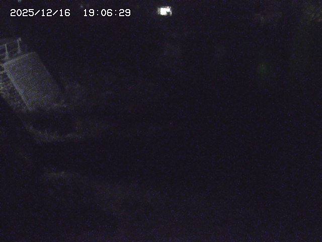 取得できませんでした