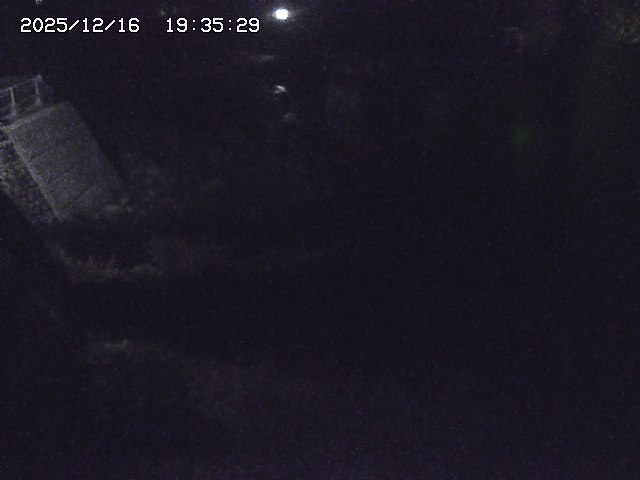 取得できませんでした