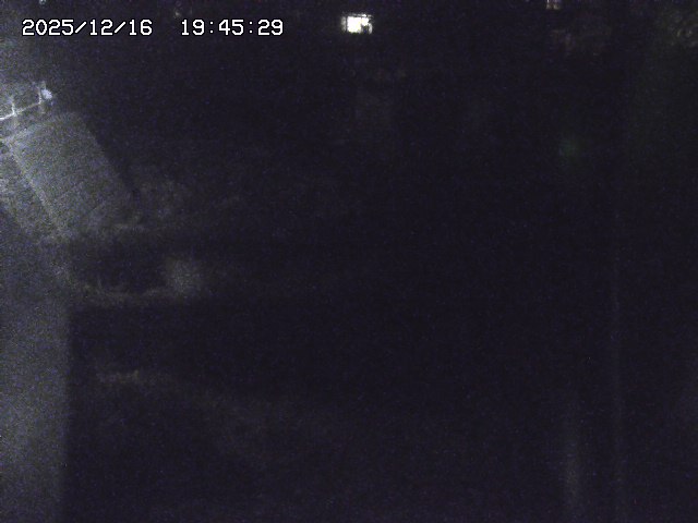 取得できませんでした