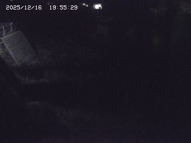 取得できませんでした