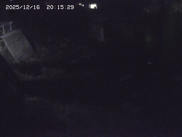 取得できませんでした