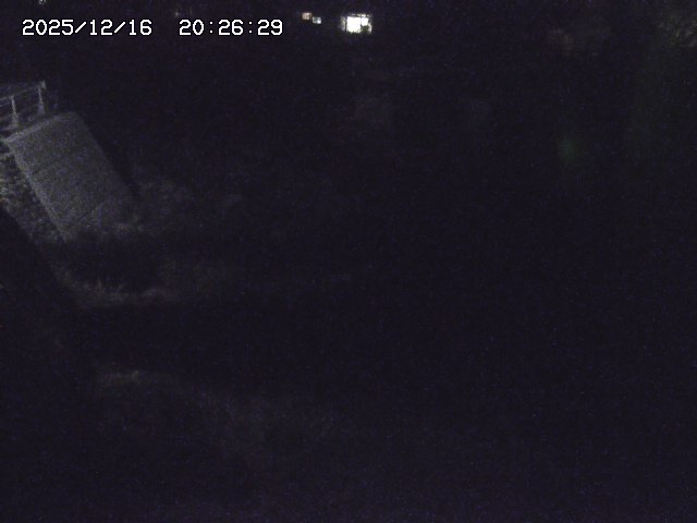 取得できませんでした