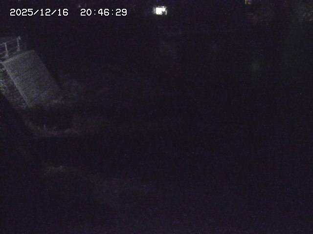 取得できませんでした