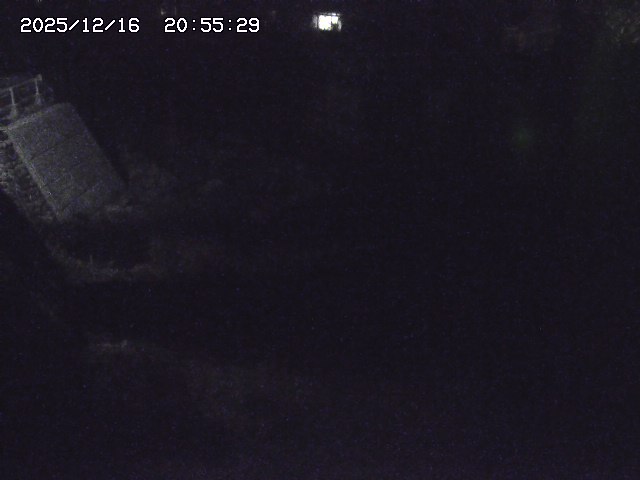 取得できませんでした