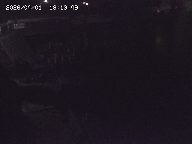 取得できませんでした