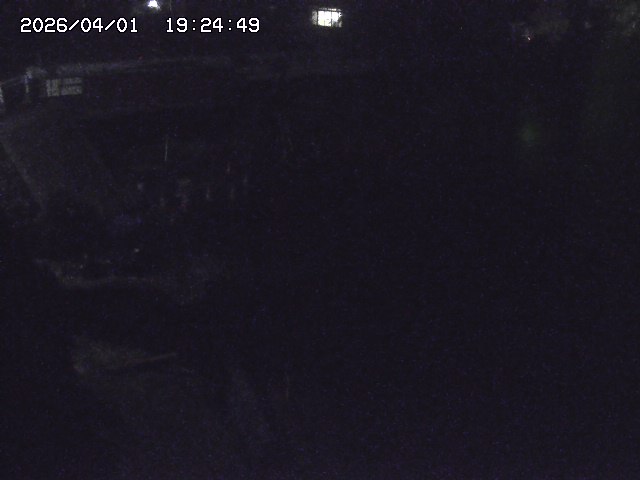 取得できませんでした