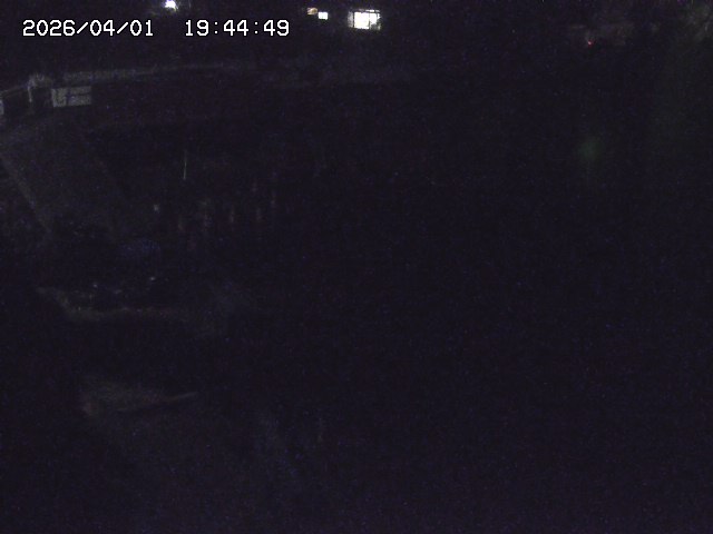 取得できませんでした