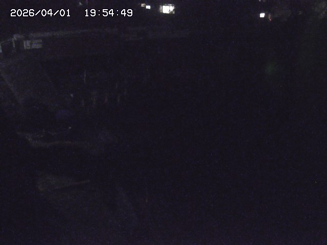 取得できませんでした