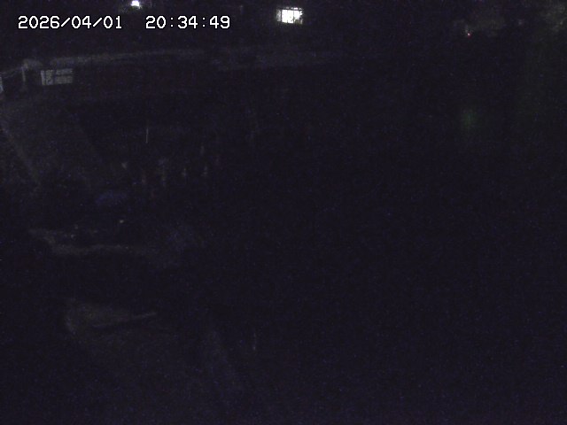 取得できませんでした