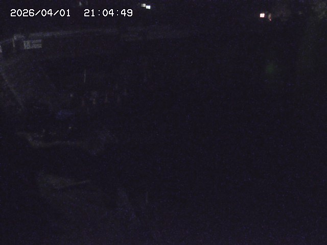 取得できませんでした