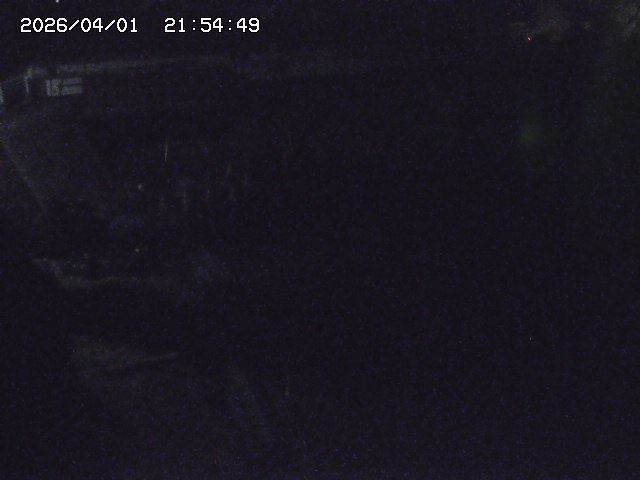 取得できませんでした