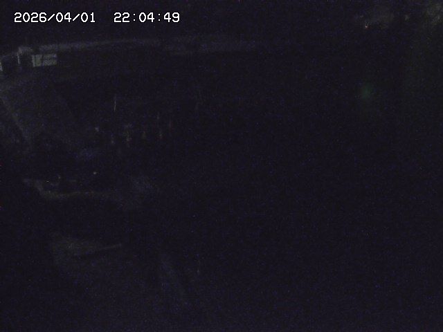 取得できませんでした