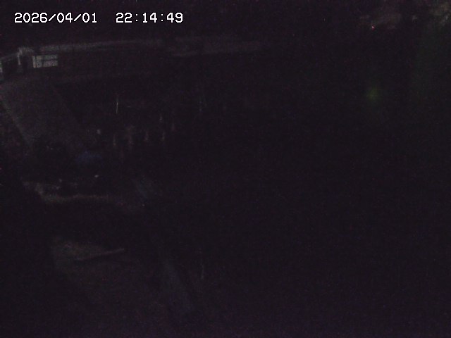 取得できませんでした